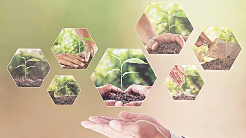 Leadership growth with social responsibility has positive results Leadership growth with social responsibility has positive results