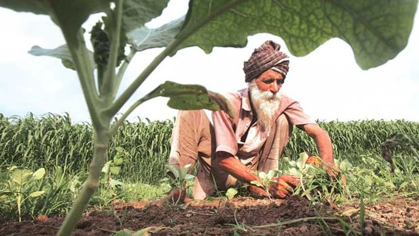 farmers, agriculture, credit, India farmers, agriculture, credit, India