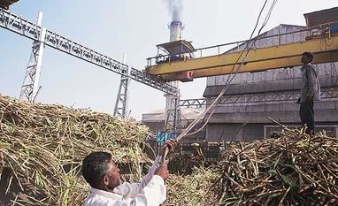 India likely to become net importer of sugar as drought dries fields sugar mills
