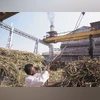 sugar mills sugar mills