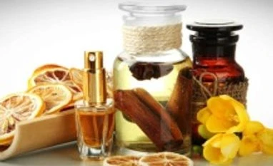 Fragrance & flavour maker S H Kelkar buys Rasiklal Hemani Agencies for Rs 28 cr Fragrance & flavour maker S H Kelkar buys Rasiklal Hemani Agencies for Rs 28 cr