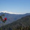 The far-off peaks of the Garhwal Himalayas spring into view on a clear day