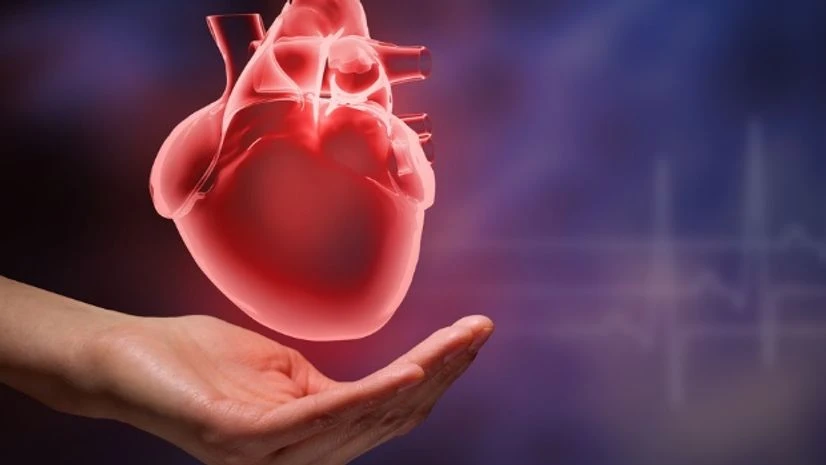 Heart, Healthcare Heart, Healthcare