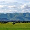 Western Ghats as seen from Gobichettipalayam, Tamil Nadu (Photo: Wikipedia)