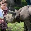rhino, Kate Middleton