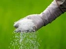 Toyo Engineering bags Chambal Fertilisers' $ 600 mn contract for fertiliser complex project Toyo Engineering bags Chambal Fertilisers' $ 600 mn contract for fertiliser complex project