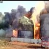 Fire continues to rage at Biomax Fuels Limited in Duvvada (Visakhapatnam), it broke out at 7:30 pm on Tuesday (Source: ANI)