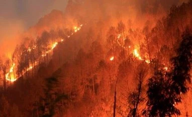 Uttarakhand fires to be doused in two days: Prakash Javadekar Raging forest fires have claimed 1,890.79 hectares of forest land in Uttarakhad's Kumaon and Garhwal regions (Source: Facebook)