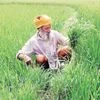 Punjab may get Centre's support for agri dues