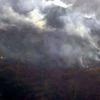 Uttarakhand forest fire