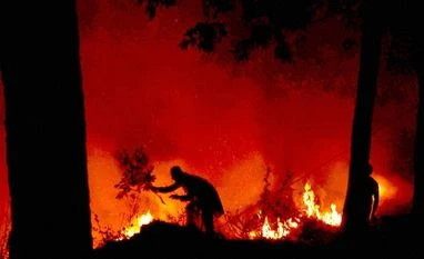 Fresh forest fires in Uttarakhand fire, forest