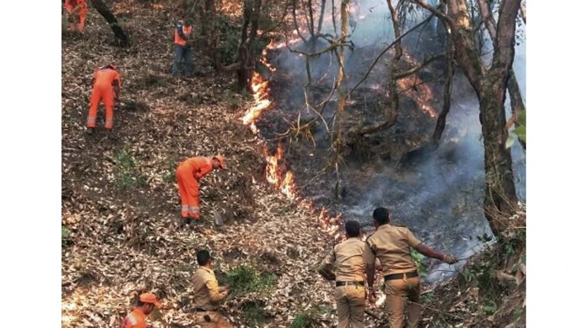 fire, forest, Uttarakhand Forest men extinguishing the fire in the forests at Kotdwar, Uttarakhand