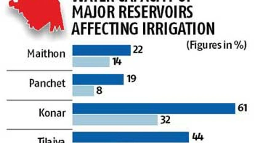 Irrigated winter crop in Bengal has taken a hit Irrigated winter crop in Bengal has taken a hit