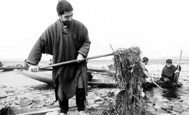 Noble cleanup cause Noble cleanup cause