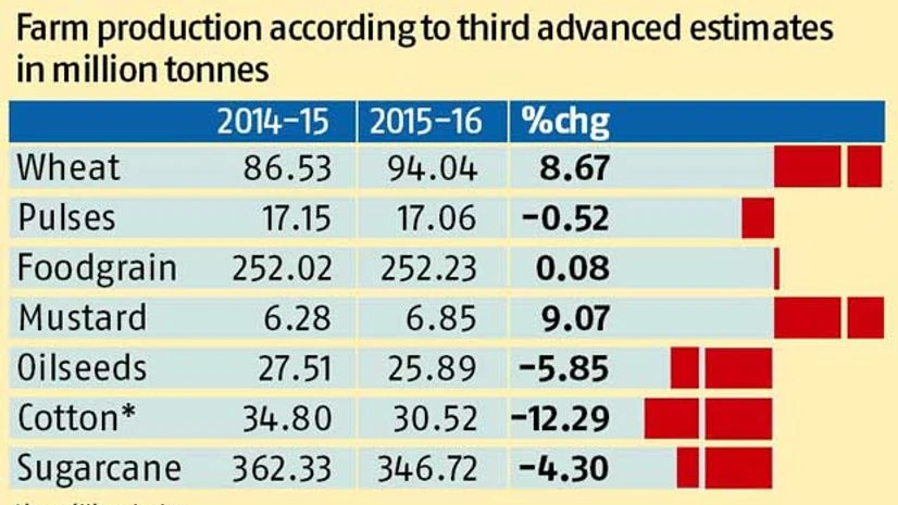 Wheat output up despite drought Wheat output up despite drought
