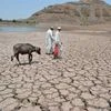 Bundelkhand could become another Rajasthan desert: Rajendra Singh
