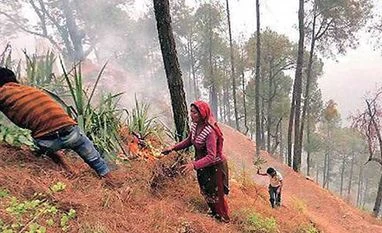 Uttarakhand Burns: Road ahead for the state forests, fire,