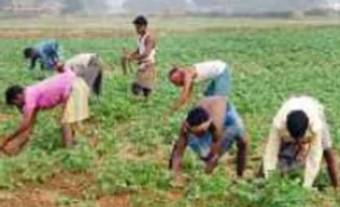 Govt bullish on farm sector growth India: An agricultural powerhouse of the world