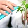 Rallis India's arm Metahelix forms JV in Indonesia for seeds business