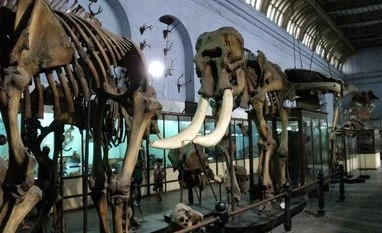 Indian Museum collection going online with Google Indian museum