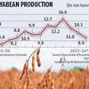 Soybean area falls as farmers switch to pulses