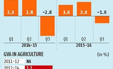 Drought cripples farm sector Drought cripples farm sector