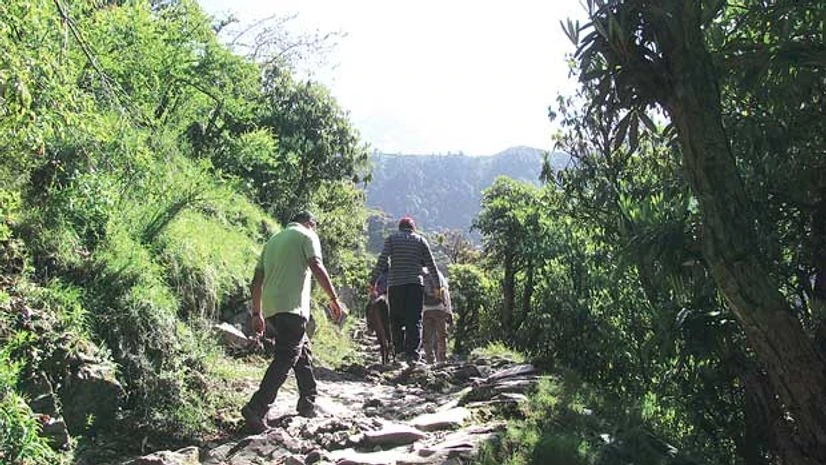The Triund trek is seven kilometres from Dharamkot The Triund trek is seven kilometres from Dharamkot