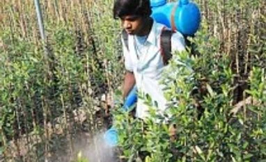 PI Industries forms JV with Japan's Mitsui Chemicals for agrochemicals PI Industries forms JV with Japan's Mitsui Chemicals for agrochemicals