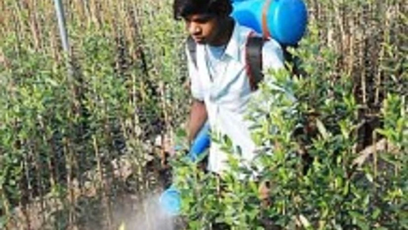 PI Industries forms JV with Japan's Mitsui Chemicals for agrochemicals PI Industries forms JV with Japan's Mitsui Chemicals for agrochemicals