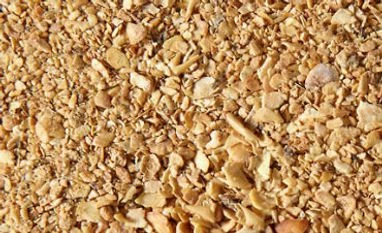 Oilmeal export down 61% in June quarter Oilmeal