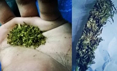 Marijuana legalisation not linked to traffic fatalities Long-term marijuana use disrupts brain's reward process