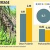 UP set to surpass Maharashtra as largest sugar producer