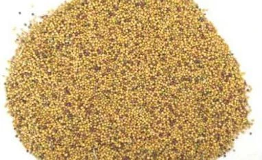 NCDEX makes assaying of commodity mandatory at the time of delivery Rapeseed