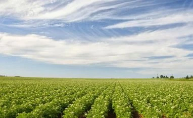 Verifying genuineness of farm income over Rs 1 crore: Govt Verifying genuineness of farm income over Rs 1 crore: Govt