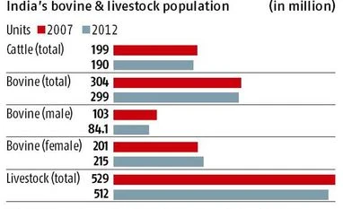 Bullish about female calves Bullish about female calves