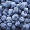 Eat blueberries to fight age, memory loss