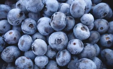 Eat blueberries to fight age, memory loss Eat blueberries to fight age, memory loss