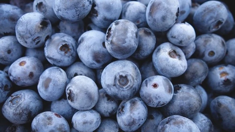 Eat blueberries to fight age, memory loss Eat blueberries to fight age, memory loss
