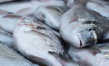 Climate change will decrease number of fish species, says report A barrel of fish Photo: Reuters