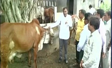 Muslims cannot use cow urine products, rules Darul Uloom Photo: ANI Twitter Handle