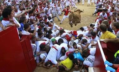 Maneka Gandhi asks Barack Obama not to attend bull-fighting fest Maneka Gandhi asks Barack Obama not to attend bull-fighting fest