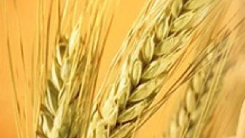 Jubilant Industries to stop production at SSP plant in Rajasthan Jubilant Industries to stop production at SSP plant in Rajasthan