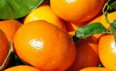 Punjab kinnow exports to grow 3-fold as fruit quality in Pakistan suffers Kinnow