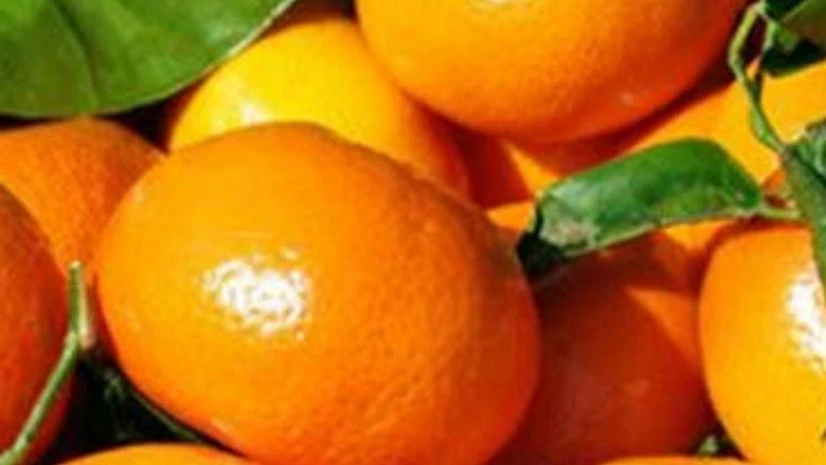 Kinnow Punjab kinnow exports to grow 3-fold as fruit quality in Pakistan suffers