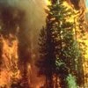 California fire