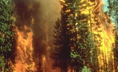 Man arrested for arson blaze that decimated California town California fire