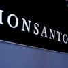 Monsanto is displayed on a screen where the stock is traded on the floor of the New York Stock Exchange (NYSE) in New York City. Photo: Reuters