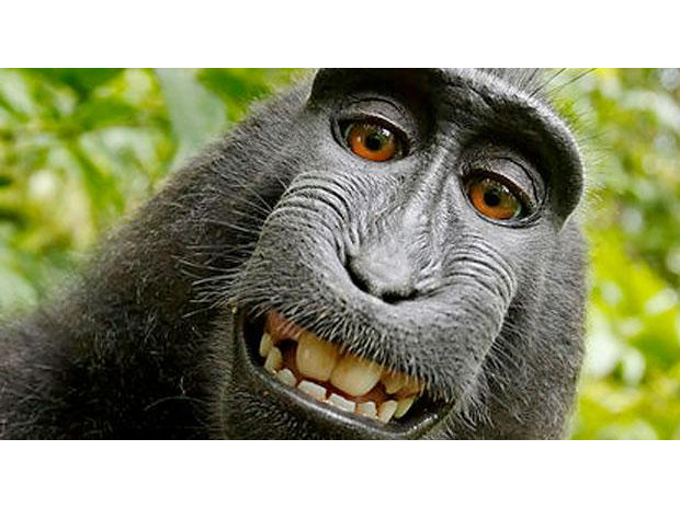 【インパクトページ 】WCP MONKEY KEEP IT REAL WCP バンクシー MONKEY KEEP IT REAL リプロダクション インパクト