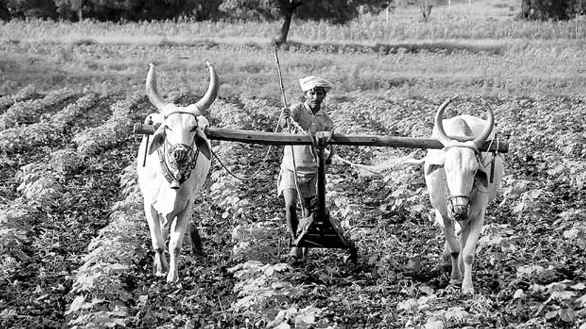 Chasing mirages Chasing mirages