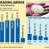 Land routes opened for basmati exports to Bangladesh, Nepal